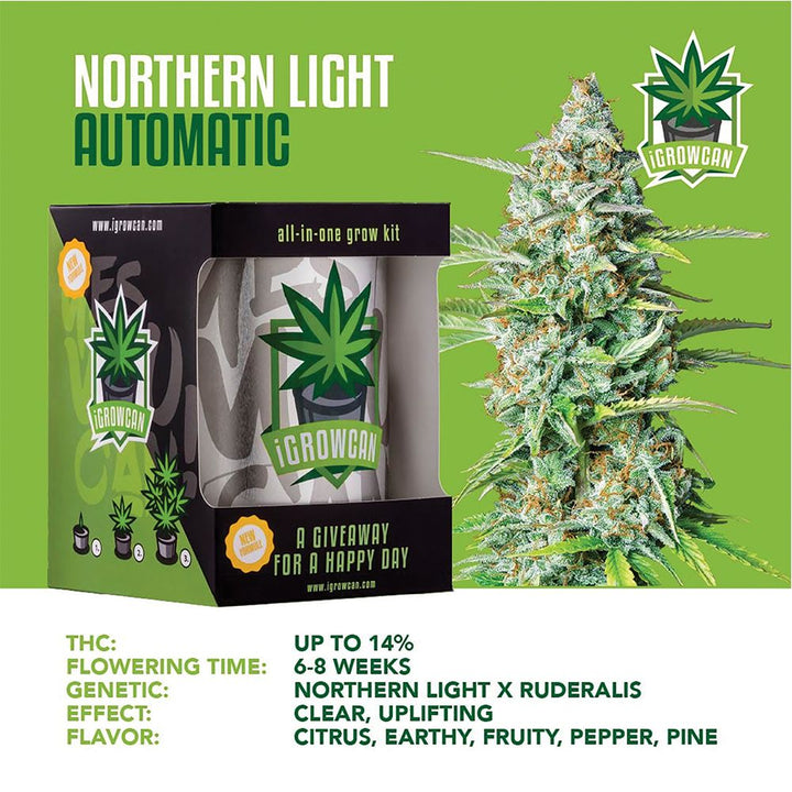 Royal Queen Seeds iGrowCan All-In-One Hemp Grow Kit