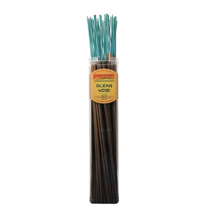 Wild Berry Biggies Incense Sticks | 50pc Bundle - Headshop.com