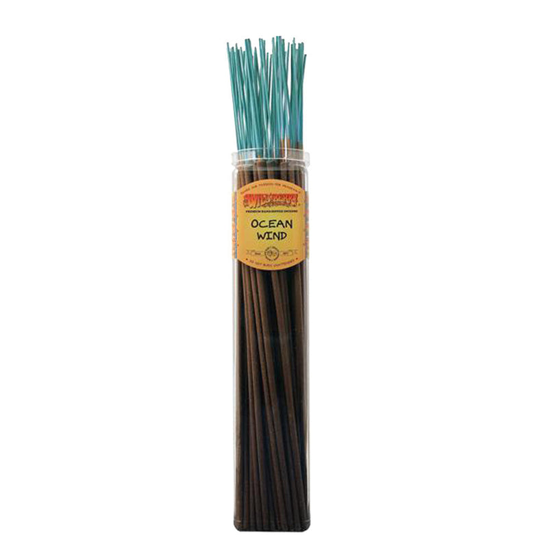 Wild Berry Biggies Incense Sticks | 50pc Bundle - Headshop.com