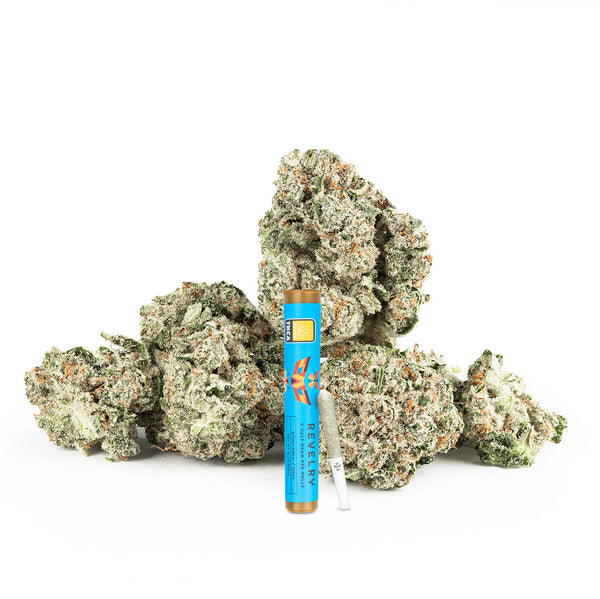 Blue Dream THCA Pre Rolls 2 Pack