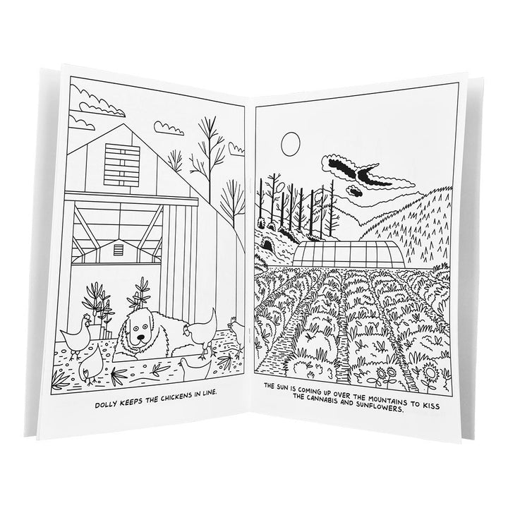 Wood Rocket A Visit To The Hemp Farm Adult Coloring Book - 8.5"x11" - Headshop.com