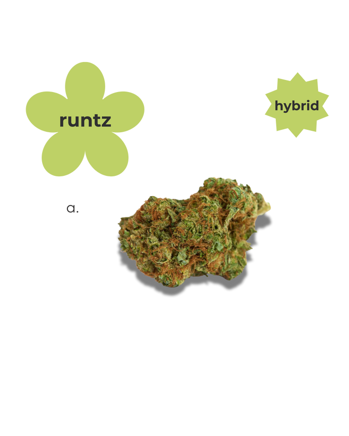 Go- Easy Hybrid ~ Runtz Pre Rolls - Headshop.com