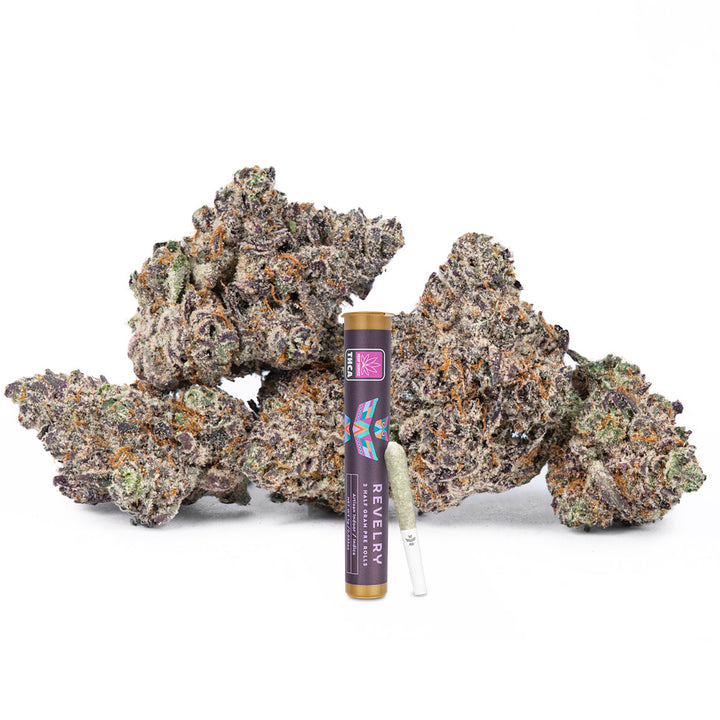 Revelry Devil's Gelato THCA Pre Rolls 2 Pack