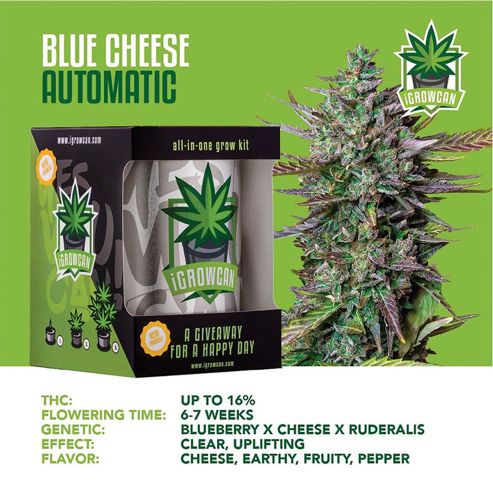 Royal Queen Seeds iGrowCan All-In-One Hemp Grow Kit