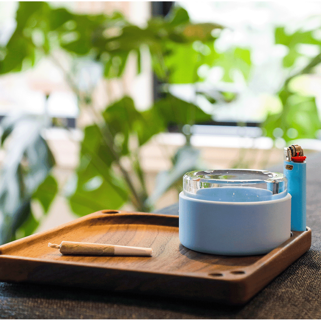 Rolling Tray & Storage Station - Headshop.com
