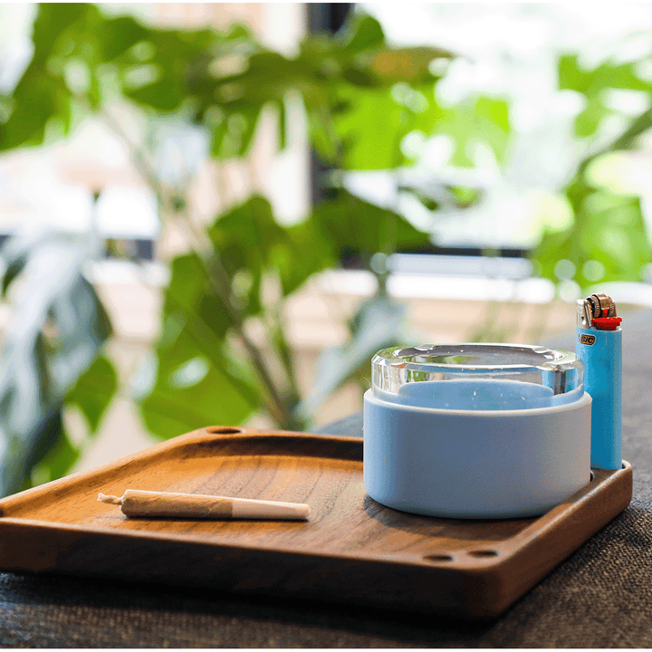 Rolling Tray & Storage Station - Headshop.com