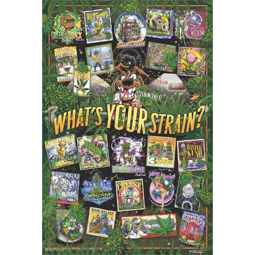 T-Dog Weed Strains Poster - 24"x33" - Headshop.com