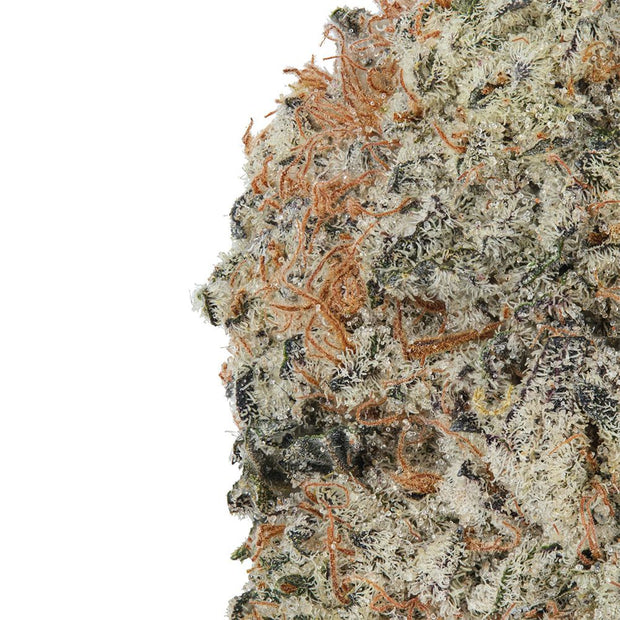 WNC CBD High THCA Indoor Hydro Flower | 3.5g - Headshop.com