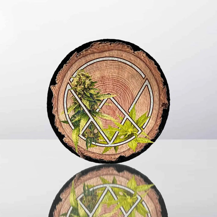 Vitae Glass 6" Protective Mood Mat - Headshop.com