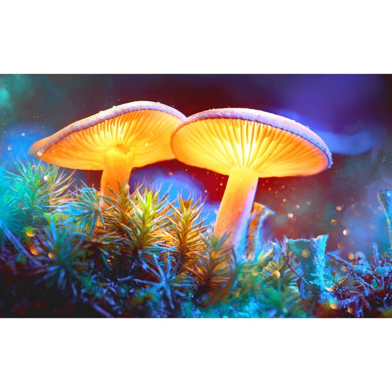Pulsar Mystical Mushrooms Tapestry - Headshop.com