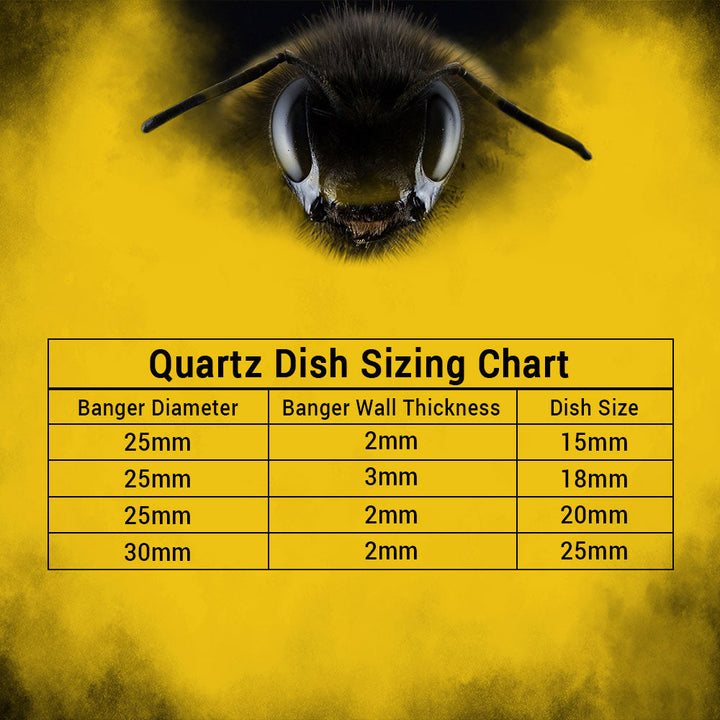 HONEY & MILK BEVEL QUARTZ BANGER- 90° DEGREE | BL - Headshop.com