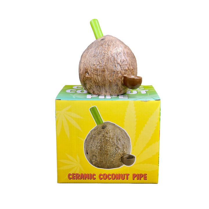Coconut Pipe - Headshop.com