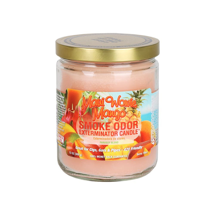 Smoke Odor Exterminator Candle | Year-Round Series | 13oz - Headshop.com