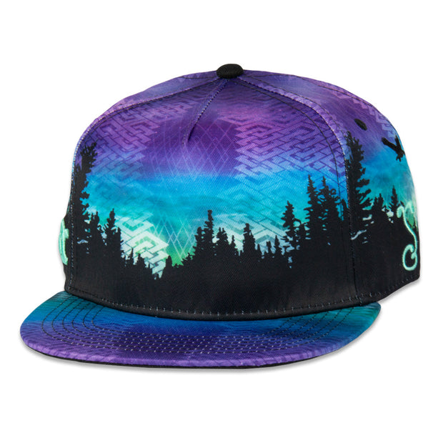 Grassroots Camproots V1 Snapback Hat