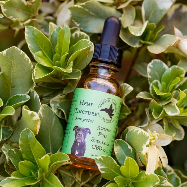 Caine's Elixir 500mg Pet CBD Oil | Carolina Cannabis Creations