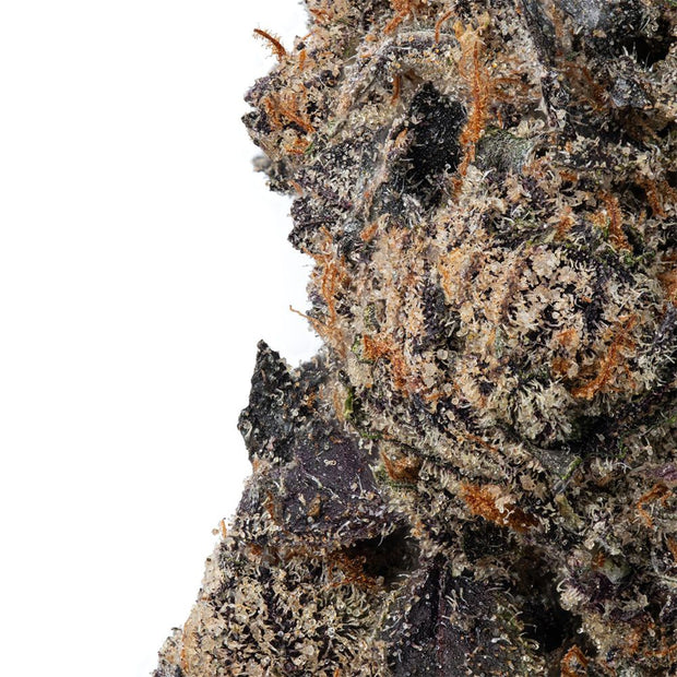 WNC CBD High THCA Indoor Hydro Flower | 3.5g - Headshop.com