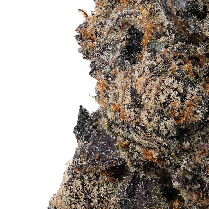 WNC CBD High THCA Indoor Hydro Flower | 3.5g - Headshop.com