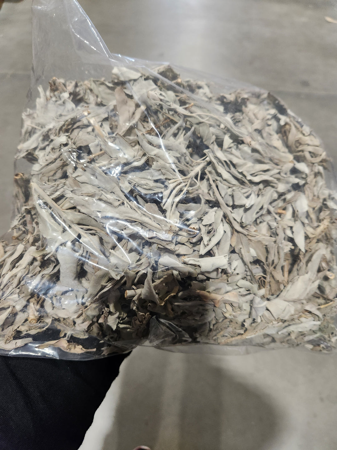 1lb Bag Loose White Sage - Headshop.com
