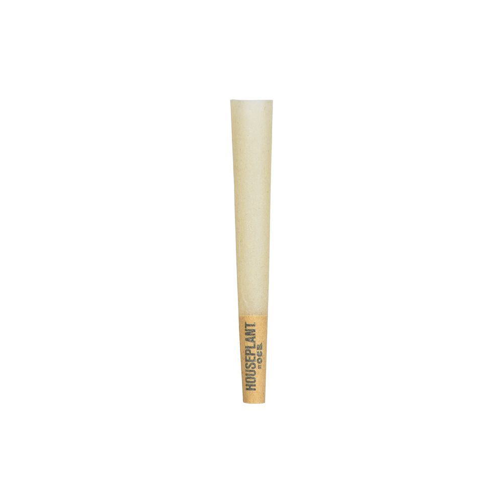 32CT DISPLAY - Houseplant by OCB Cones - Bamboo / 8pc / Mini - Headshop.com