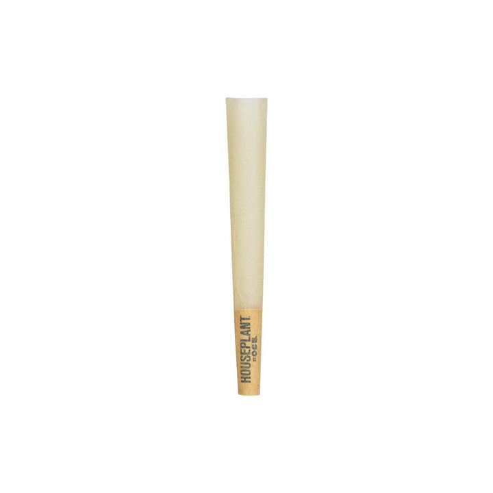 32CT DISPLAY - Houseplant by OCB Cones - Bamboo / 8pc / Mini - Headshop.com