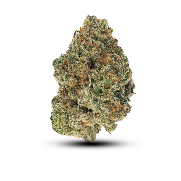 Blue Nerds - 7G