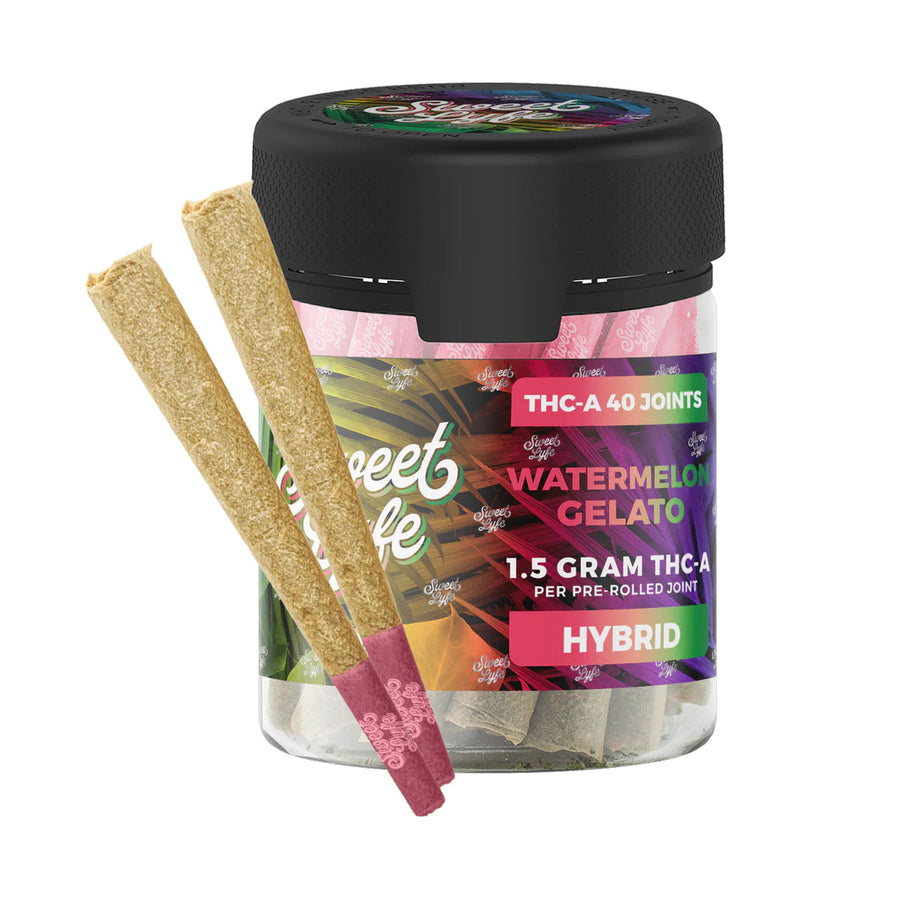 THC-A Joints 40 Pack - Watermelon Gelato (Hybrid) - Headshop.com