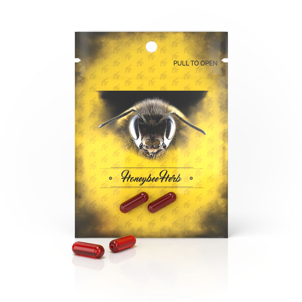 Honeybee Herb Honey Terp Pearls - Headshop.com