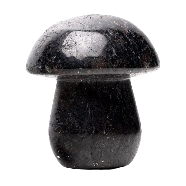 Astral Project Gemstone Shroom Pipe
