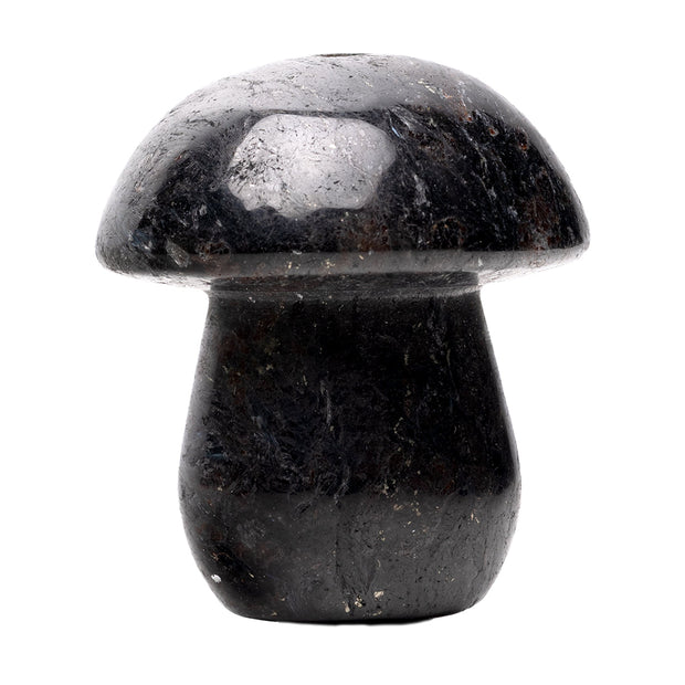 Astral Project Gemstone Shroom Pipe - Headshop.com