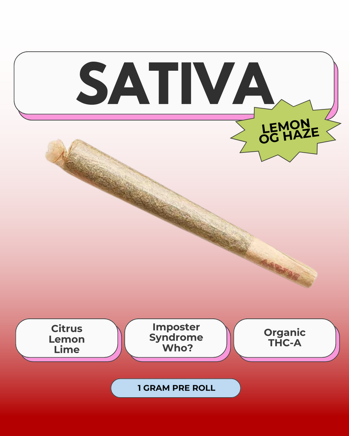 Go Easy THC-A ~ Lemon OG Haze - Headshop.com