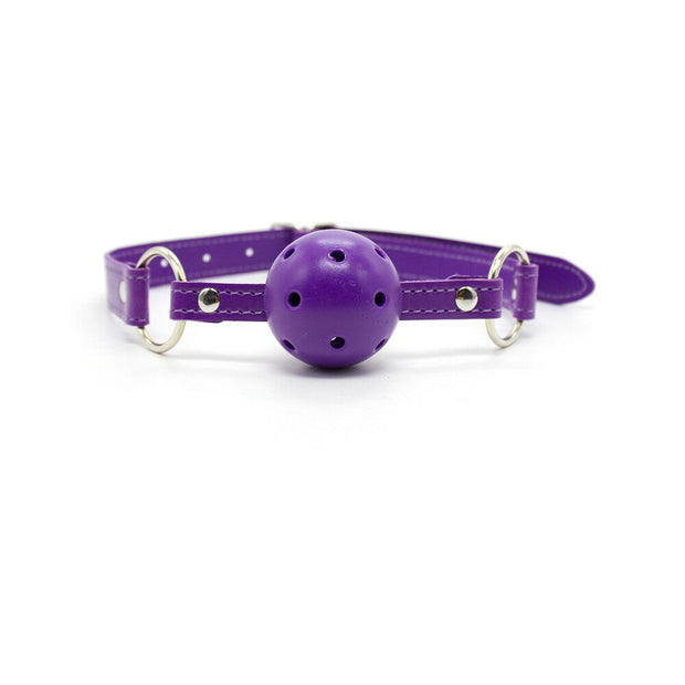 Ple'sur 12-Piece Everything Bondage Kit Purple - Headshop.com