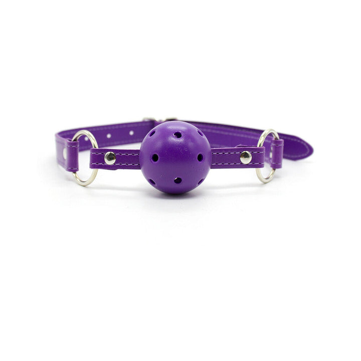 Ple'sur 12-Piece Everything Bondage Kit Purple - Headshop.com