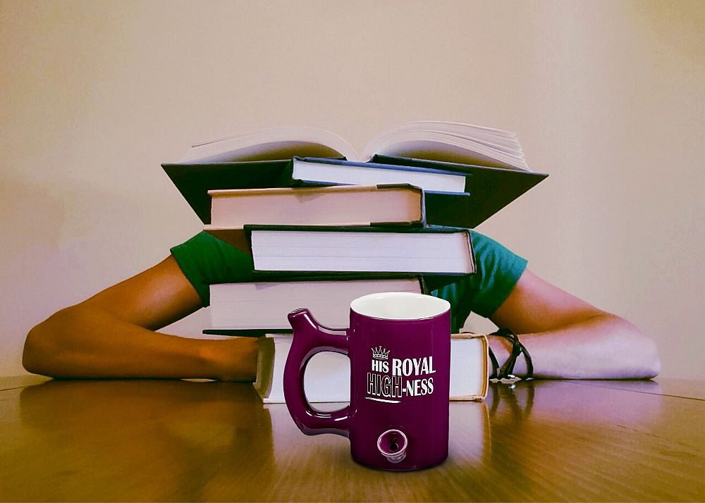 her royal and his royal highness mugs - Headshop.com