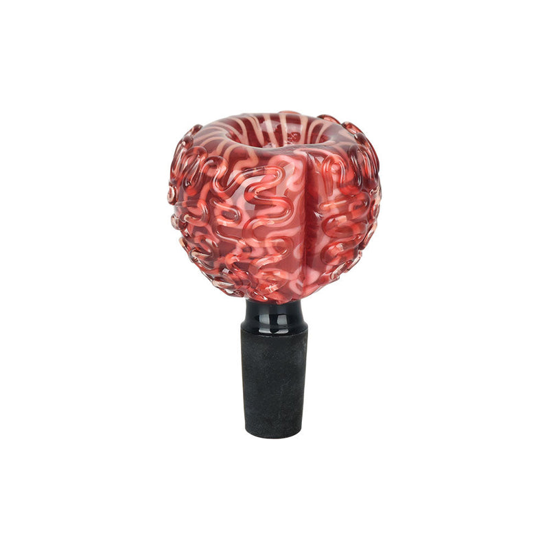 Your Brain On Drugs Herb Slide - 14mm M - Headshop.com