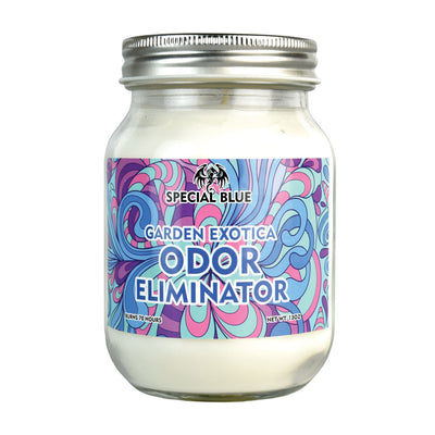 Special Blue Odor Eliminator Candle - Headshop.com
