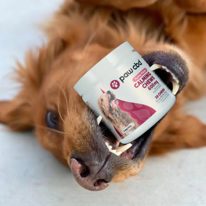Paw CBD Calming CBD Dog Chews Treats - Turkey 600MG, 30ct - Headshop.com