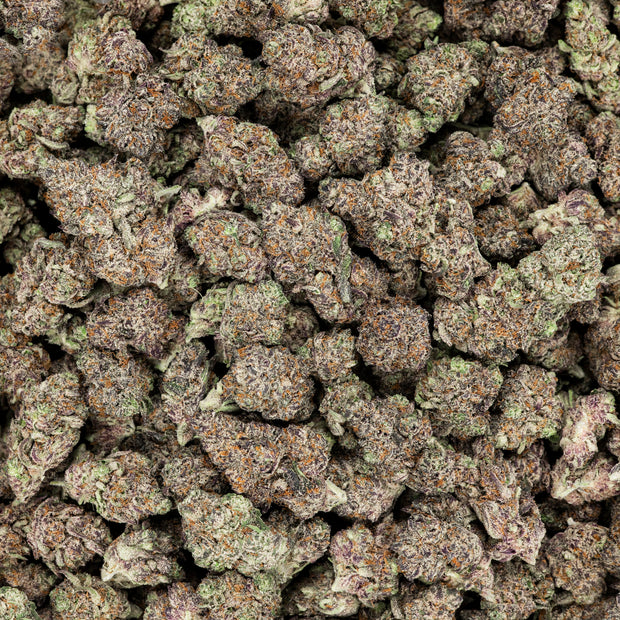 Revelry Devil's Gelato THCA Pre Rolls 7 Pack