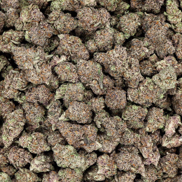 Revelry Devil's Gelato THCA Pre Rolls 7 Pack