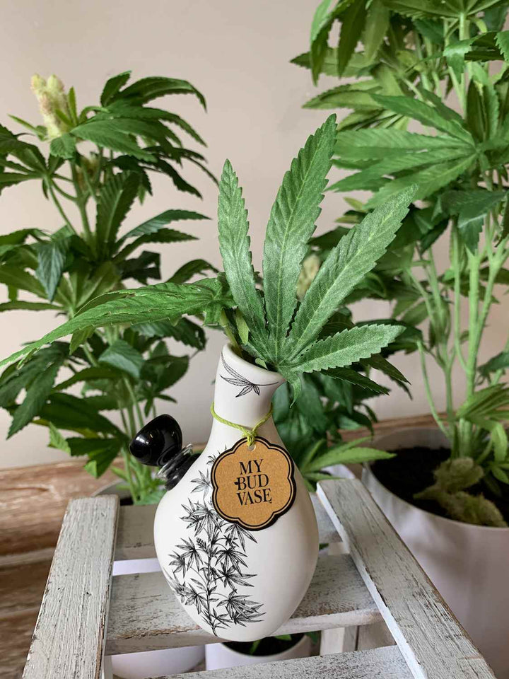 My Bud Vase - Love Bud elegant bong - Headshop.com