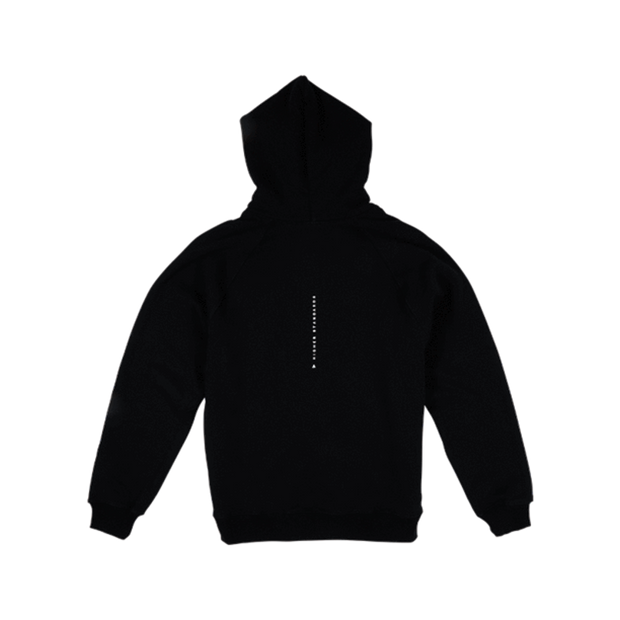 Higher Standards Hoodie - Concentric Triangle - Headshop.com