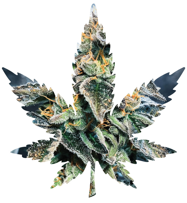 Indica Leaf Shape Puzzle: Sport Farmer "Gary GNU" 10" x 11" 69 Piece 1/4 Inch thick Maple Wood Jigsaw Puzzle - Headshop.com