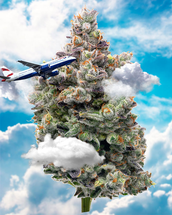 Surface_area999 “Mile High Club" 6.1" x 8.1" 85 Piece 1/4 Inch thick Maple Wood Jigsaw Puzzle - Headshop.com
