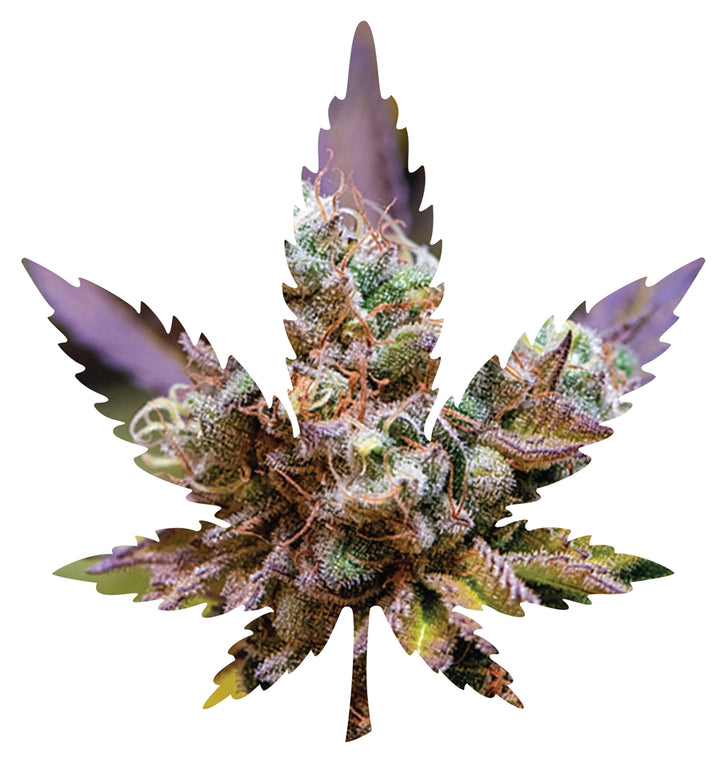 Indica Leaf Shape Puzzle: Nick Johnson “Gelato Cake II" 10" x 11" 69 Piece 1/4 Inch thick Maple Wood Jigsaw Puzzle - Headshop.com