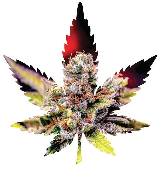 Indica Leaf Shape Puzzle: Nick Johnson “Colins Mandarin Temple" 10" x 11" 69 Piece 1/4 Inch thick Maple Wood Jigsaw Puzzle - Headshop.com