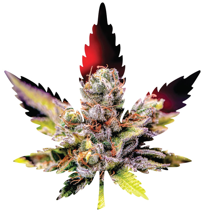 Indica Leaf Shape Puzzle: Nick Johnson “Colins Mandarin Temple" 10" x 11" 69 Piece 1/4 Inch thick Maple Wood Jigsaw Puzzle - Headshop.com
