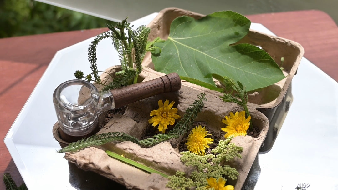 Marley Natural Glass & Walnut Spoon Pipe - Headshop.com