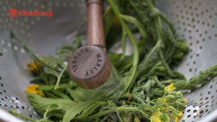 Marley Natural Glass & Walnut Spoon Pipe - Headshop.com