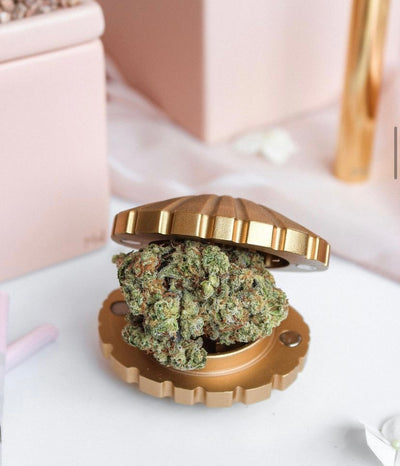 Stay Golden Seashell Weed Grinder - Headshop.com